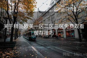 关于精品欧美一区二区三区免费观看缓存技巧