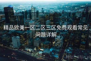精品欧美一区二区三区免费观看常见问题详解