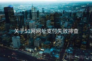 关于51网网址支付失败排查
