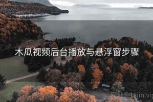 木瓜视频后台播放与悬浮窗步骤