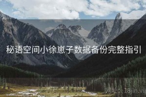 秘语空间小徐崽子数据备份完整指引