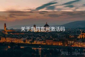 关于电鸽官网激活码