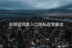 妖精视频直入口隐私政策解读
