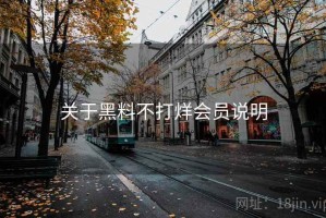 关于黑料不打烊会员说明
