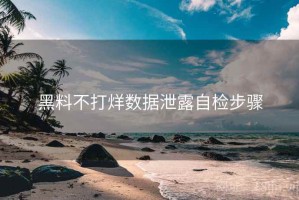 黑料不打烊数据泄露自检步骤