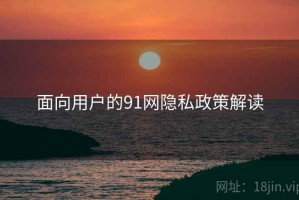 面向用户的91网隐私政策解读