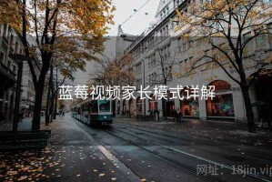 蓝莓视频家长模式详解