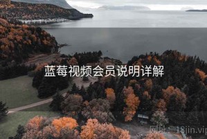 蓝莓视频会员说明详解