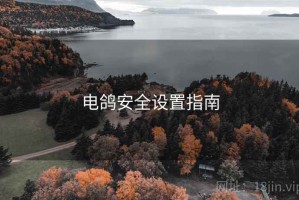 电鸽安全设置指南