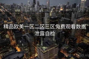 精品欧美一区二区三区免费观看数据泄露自检