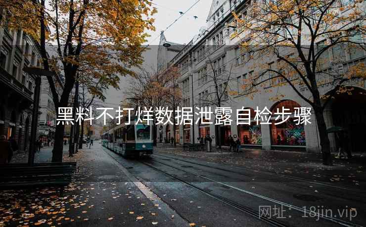 黑料不打烊数据泄露自检步骤