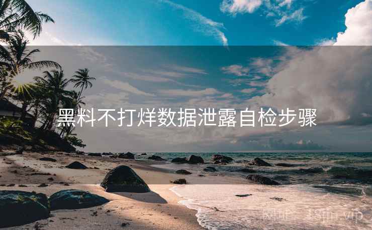 黑料不打烊数据泄露自检步骤