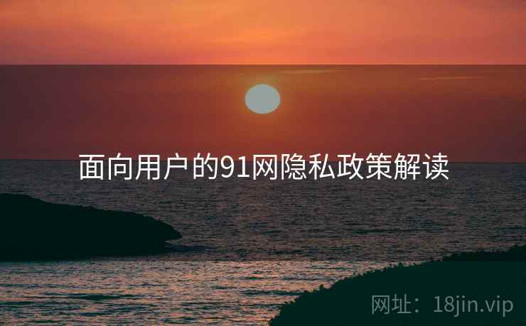 面向用户的91网隐私政策解读