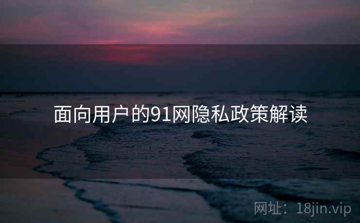 面向用户的91网隐私政策解读