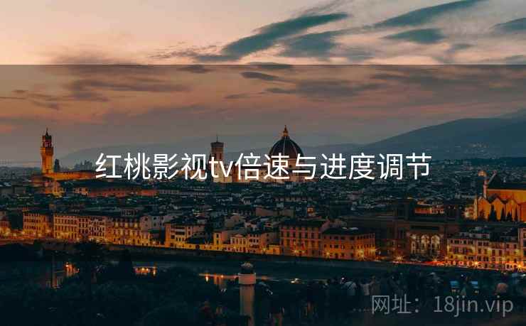 红桃影视tv倍速与进度调节