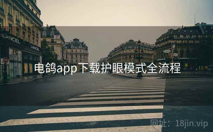 电鸽app下载护眼模式全流程