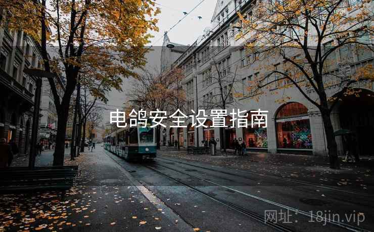电鸽安全设置指南