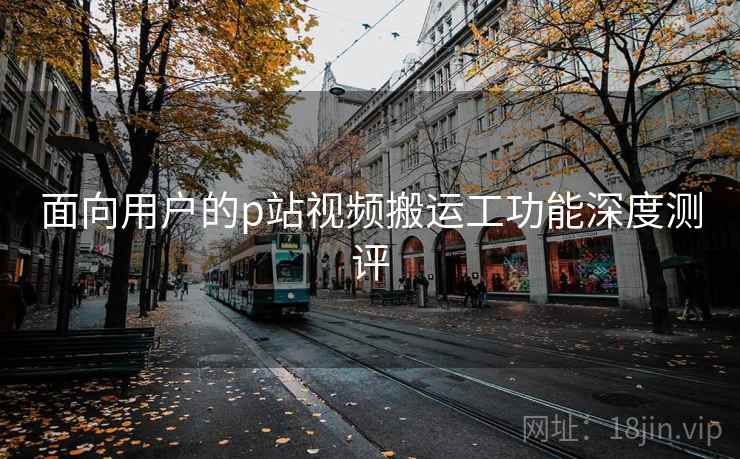 面向用户的p站视频搬运工功能深度测评