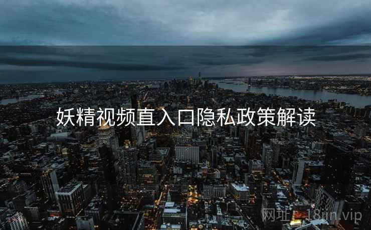 妖精视频直入口隐私政策解读