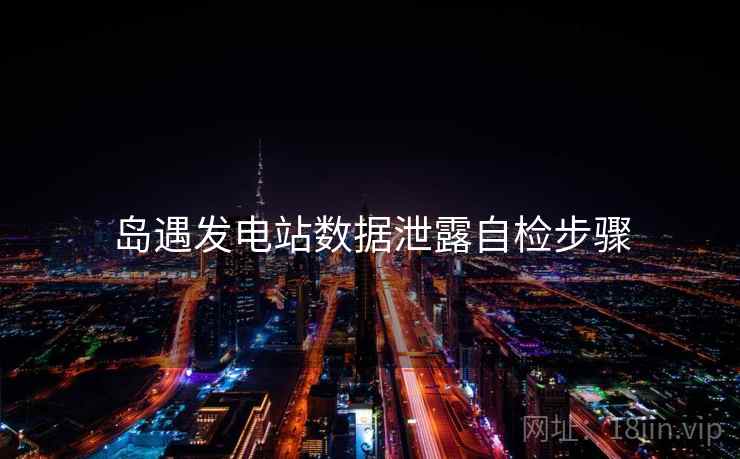 岛遇发电站数据泄露自检步骤