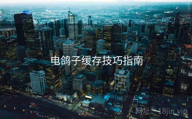 电鸽子缓存技巧指南
