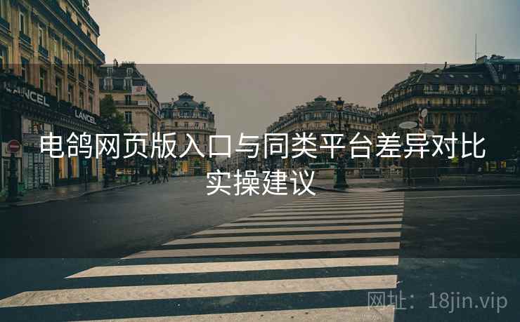 电鸽网页版入口与同类平台差异对比实操建议