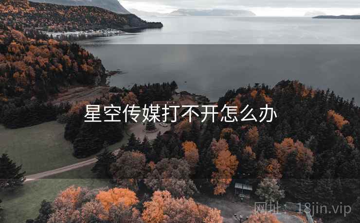 星空传媒打不开怎么办