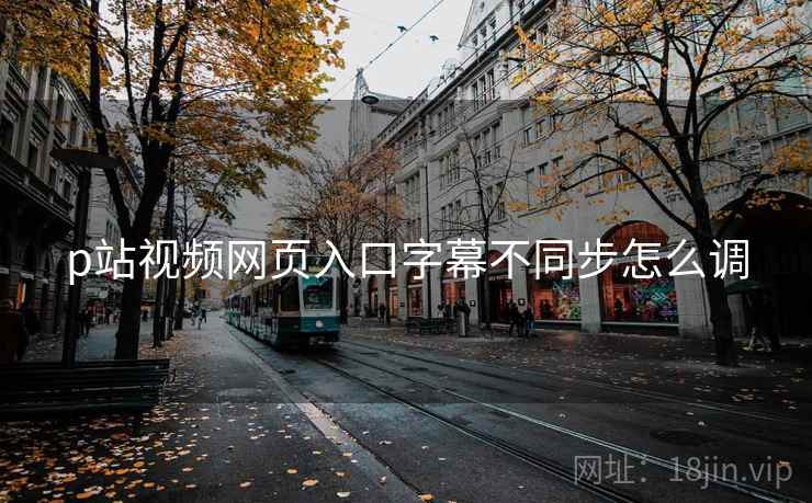 p站视频网页入口字幕不同步怎么调 p站视频网页入口字幕不同步怎么调