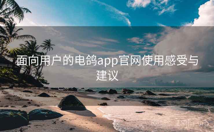 面向用户的电鸽app官网使用感受与建议